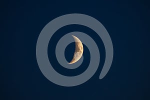 The quarter moon in the blue hour