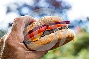 Quarter Pound Hamburger or Beefburger in a Seame Bread Bun