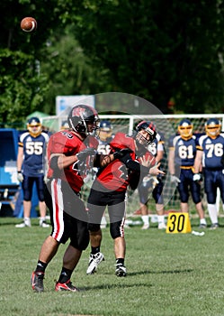 Quarterback Passes Ball