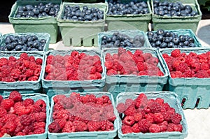 Quarts of Raspberries & Blueberries for Sale