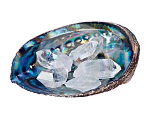 Quartz crystal in oyster shell