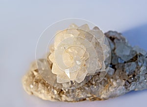 Quartz Crystal Rose in Setting Sun