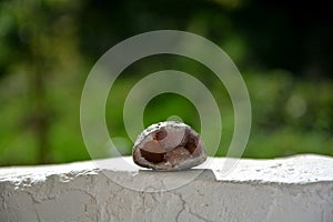 Quartz Geode Stone