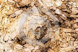 Quartz mine, detail of raw crystals on the wall of a mine, concept of precise stone being mined