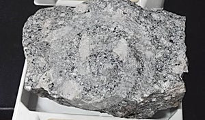 Quartz monzonite porphyry intrusive igneous rocks