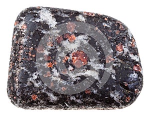 Quartz pebble with black Hornblende, pink garnet photo