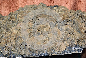 Quartz pyrite flower mine