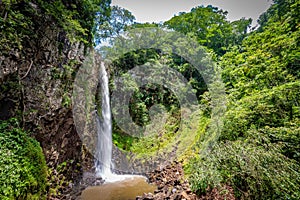 Quatis waterfall at Ecopark Cassorova. Brotas City photo