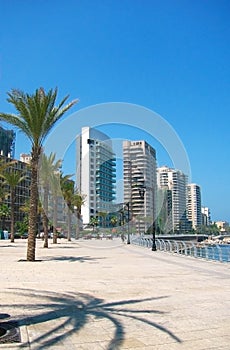 Quay with palm,buildings Beirut,Lebanon