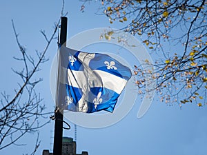 Quebec flag in front of a trees waiving in the air. Also known as Fleur de Lys, or fleurdelise, it is the official symbol