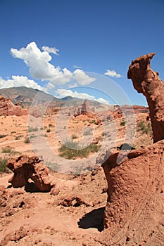 Quebrada de Cafayate photo