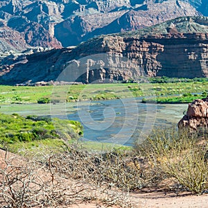 Quebrada de Cafayate, Argentina