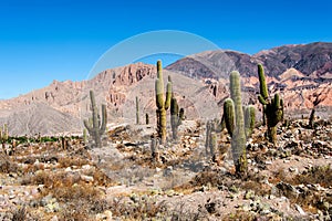 Quebrada de Humahuaca, Argentina