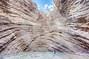 Quebrada de las Conchas, Salta, northern Argentina