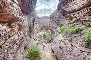 Quebrada de las Conchas, Salta, northern Argentina