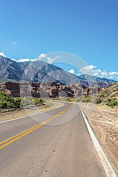 Quebrada de las Conchas, Salta, northern Argentina