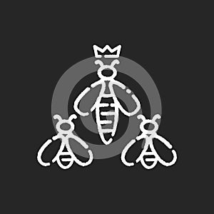 Queen bee chalk white icon on black background