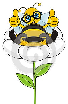 Queen bee sit on the flower