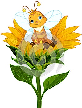 Queen Bee on Sunflower photo