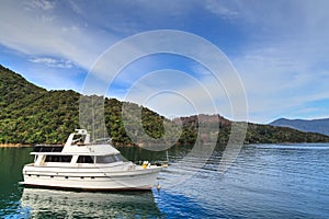 Queen Charlotte Sound, New Zealand. A boat in one of the inlets