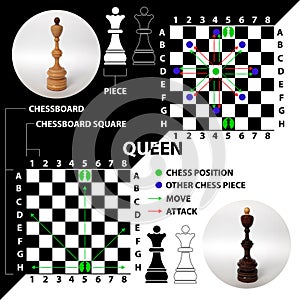 Queen. Chess piece made in the form of illustrations and icons.