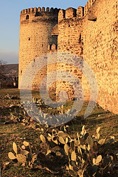 Queen Darejan (Tamarisi) fortress (Kvemo-Kartli, Georgia)