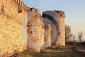 Queen Darejan (Tamarisi) fortress (Kvemo-Kartli, Georgia)