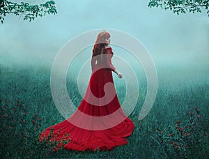 The Queen in a luxurious, expensive, red dress, walks in a thick fog with a long train. A young-haired girl in a golden