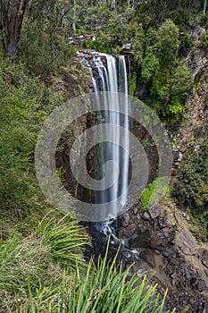 The Queen Mary Falls, Queensland Australia