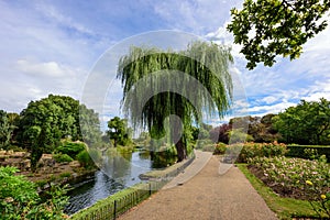 Queen Mary's Rose Gardens in Regent's Park, London, UK.