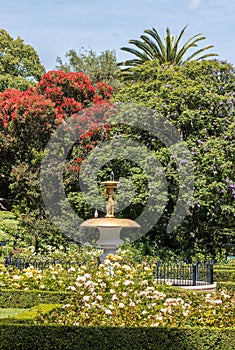 Queen`s gardens in Nelson town in New Zealand