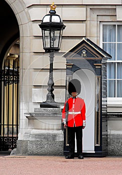 Queen's Guard, Buckingham Palace, London