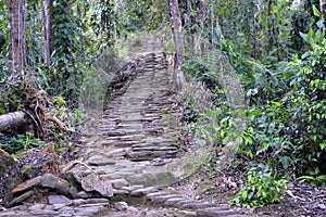 The Queen`s Stairs at the Lost City, Colombia photo
