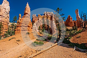 Queen Victoria`s Garden in Bryce Canyon Ampitheater