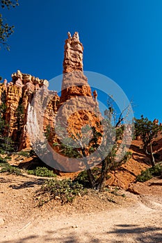 Queen Victoria`s Garden in Bryce Canyon Ampitheater