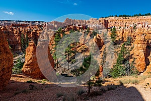 Queen Victoria`s Garden in Bryce Canyon Ampitheater