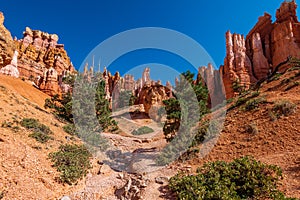Queen Victoria`s Garden in Bryce Canyon Ampitheater
