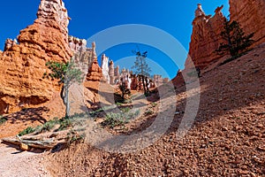 Queen Victoria`s Garden in Bryce Canyon Ampitheater