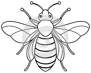 Queenbee preschool insect drawing page