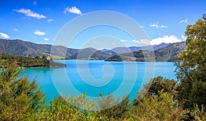 Queens Charlotte Sound landscape