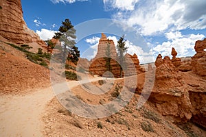Queens Garden and Navajo Loop trail in Bryce Canyon National Park, no people