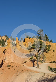 Queens garden trail in Bryce Canyon
