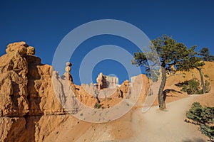 Queens garden trail in Bryce Canyon