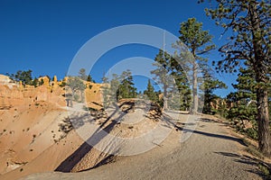 Queens garden trail in Bryce Canyon National Park