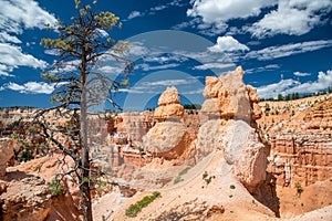 Queens Garden Trail in the Bryce Canyon National Park, USA