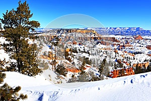 Queens Garden Trail in Bryce Canyon National Park, Utah, USA