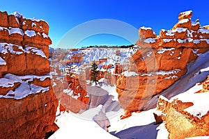 Queens Garden Trail in Bryce Canyon National Park, Utah, USA