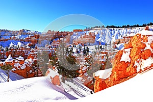 Queens Garden Trail in Bryce Canyon National Park, Utah, USA