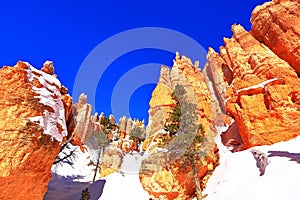 Queens Garden Trail in Bryce Canyon National Park, Utah, USA