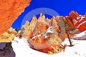 Queens Garden Trail in Bryce Canyon National Park, Utah, USA